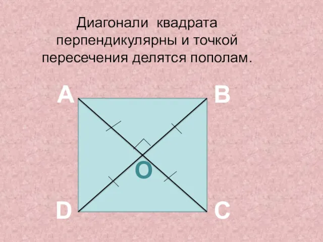 Диагонали квадрата перпендикулярны и точкой пересечения делятся пополам. A B C D О