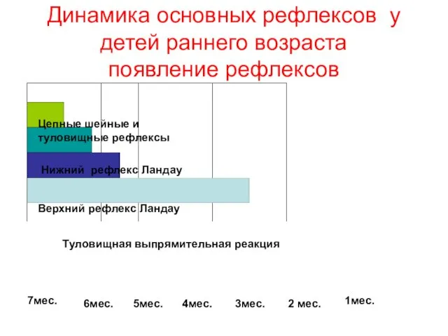 Динамика основных рефлексов у детей раннего возраста появление рефлексов 1мес.