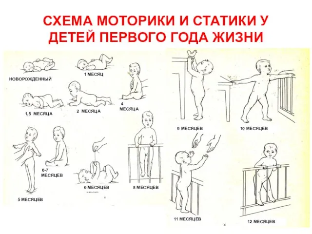 СХЕМА МОТОРИКИ И СТАТИКИ У ДЕТЕЙ ПЕРВОГО ГОДА ЖИЗНИ НОВОРОЖДЕННЫЙ 1 МЕСЯЦ 1,5