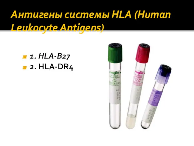 Антигены системы HLA (Human Leukocyte Antigens) 1. HLA‐B27 2. HLA‐DR4