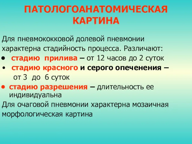 ПАТОЛОГОАНАТОМИЧЕСКАЯ КАРТИНА Для пневмококковой долевой пневмонии характерна стадийность процесса. Различают: