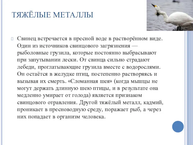 ТЯЖЁЛЫЕ МЕТАЛЛЫ Свинец встречается в пресной воде в растворённом виде.