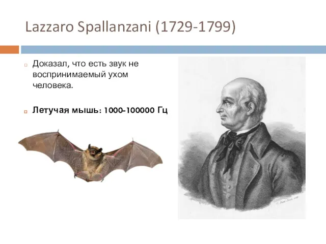 Lazzaro Spallanzani (1729-1799) Доказал, что есть звук не воспринимаемый ухом человека. Летучая мышь: 1000-100000 Гц