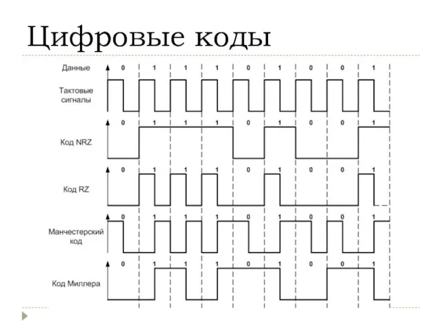 Цифровые коды