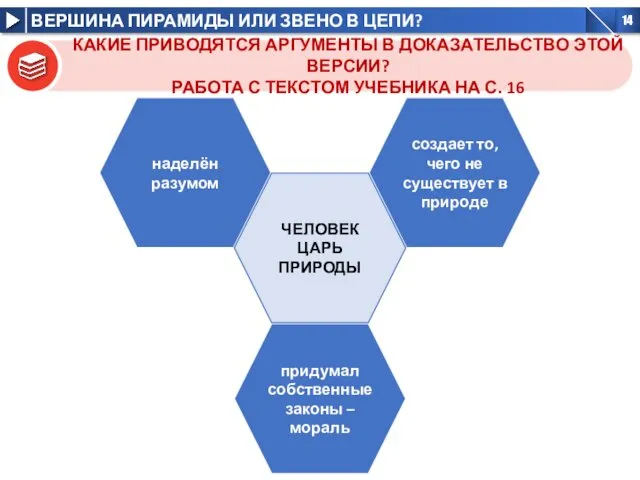 КАКИЕ ПРИВОДЯТСЯ АРГУМЕНТЫ В ДОКАЗАТЕЛЬСТВО ЭТОЙ ВЕРСИИ? РАБОТА С ТЕКСТОМ