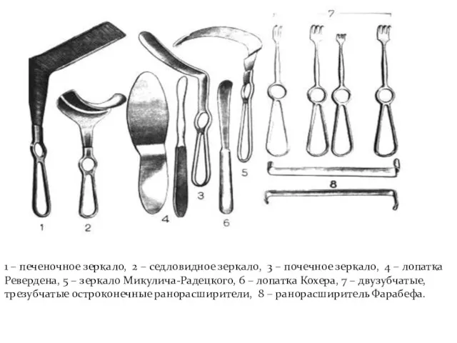 1 – печеночное зеркало, 2 – седловидное зеркало, 3 –