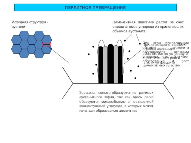 ПЕРЛИТНОЕ ПРЕВРАЩЕНИЕ Исходная структура - аустенит Зародыш перлита образуется на