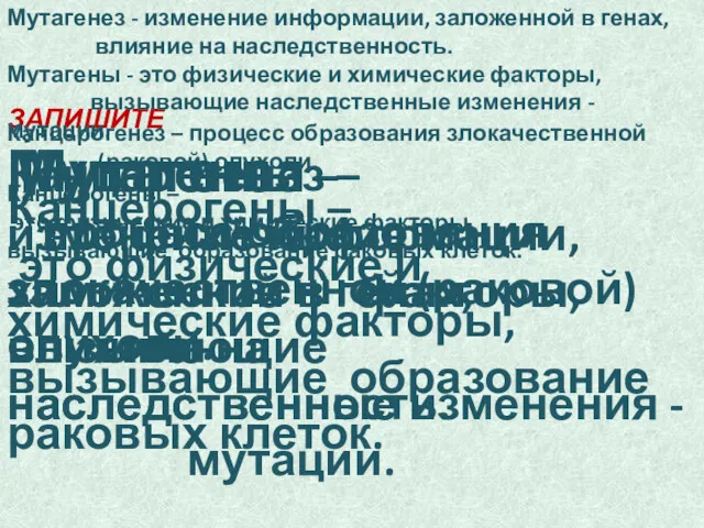 Мутагенез – изменение информации, заложенной в генах, влияние на наследственность.