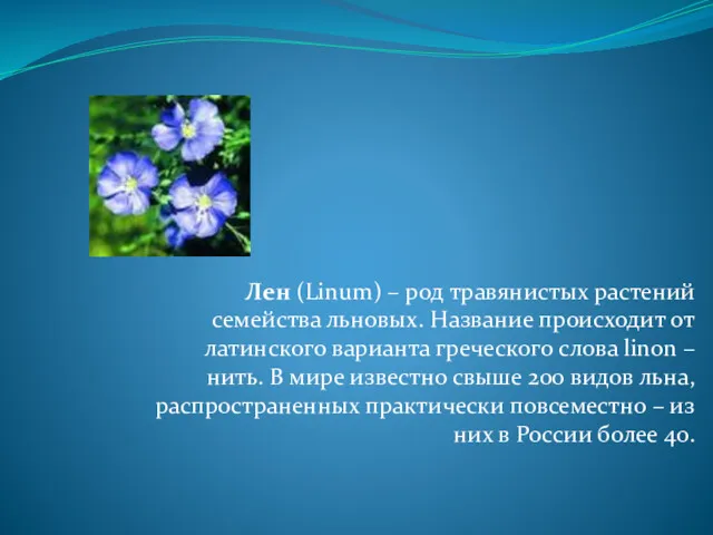 Лен (Linum) – род травянистых растений семейства льновых. Название происходит от латинского варианта