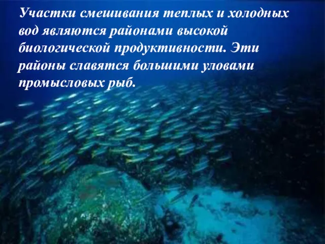 Участки смешивания теплых и холодных вод являются районами высокой биологической