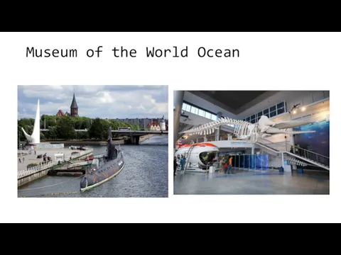 Museum of the World Ocean