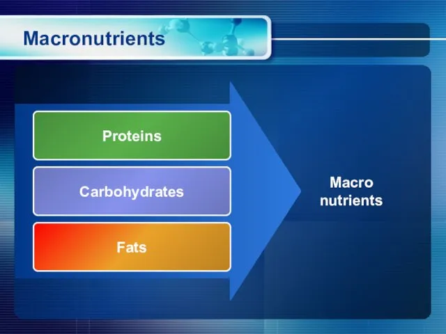 Macronutrients Proteins Carbohydrates Fats Macro nutrients