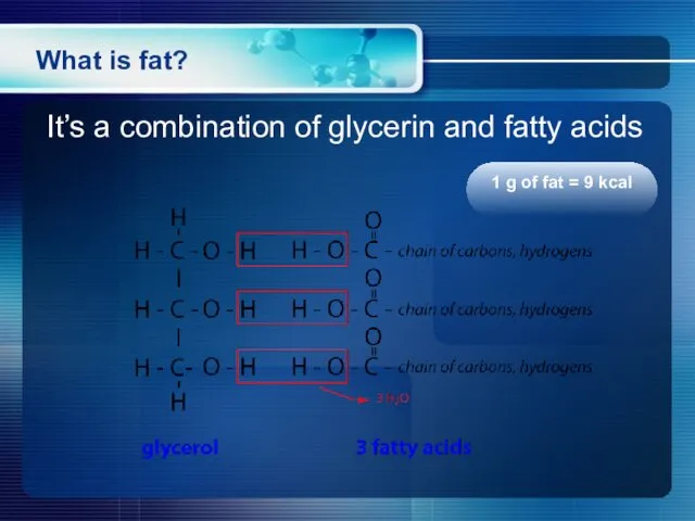 What is fat? It’s a combination of glycerin and fatty acids 1 g