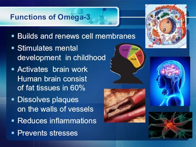 Functions of Omega-3 Builds and renews cell membranes Stimulates mental development in childhood