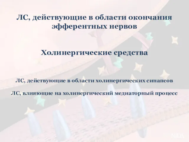 ЛС, действующие в области окончания эфферентных нервов Холинергические средства ЛС,