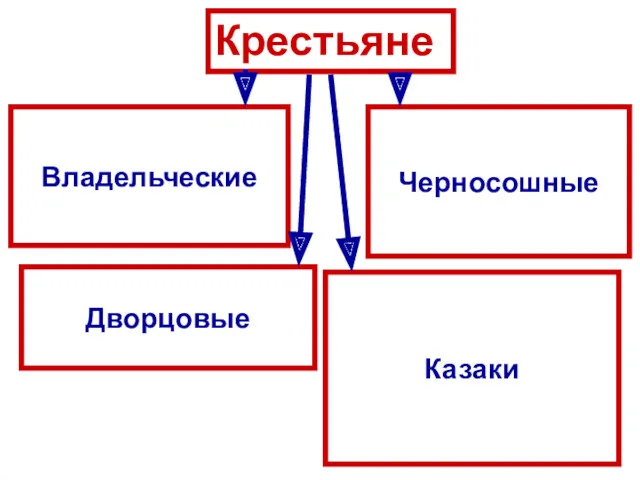 Крестьяне Владельческие Черносошные Дворцовые Казаки