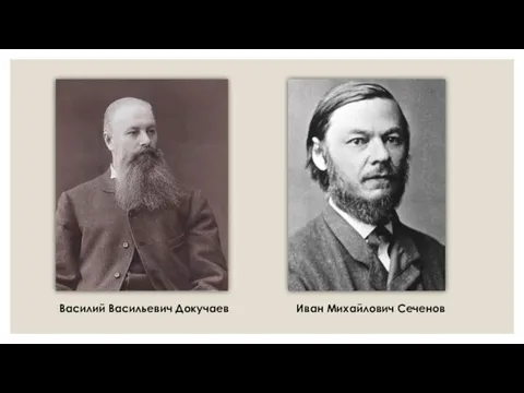 Василий Васильевич Докучаев Иван Михайлович Сеченов