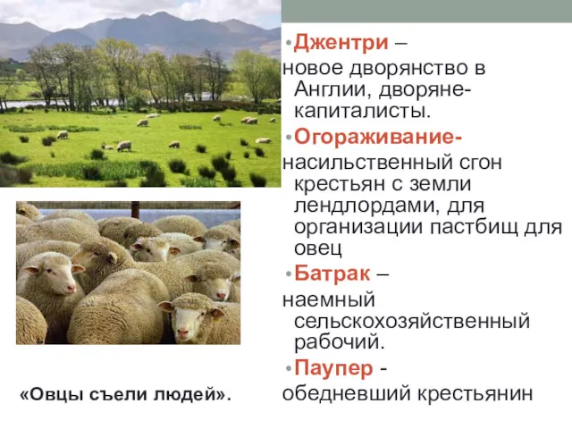 Джентри – новое дворянство в Англии, дворяне-капиталисты. Огораживание- насильственный сгон