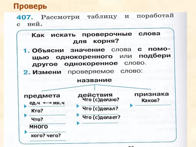 Проверь ед.ч мн.ч Кто? Что? МНОГО кого? чего? Что (с)делаю? Что (с)делал? Что (с)делает? Каков?