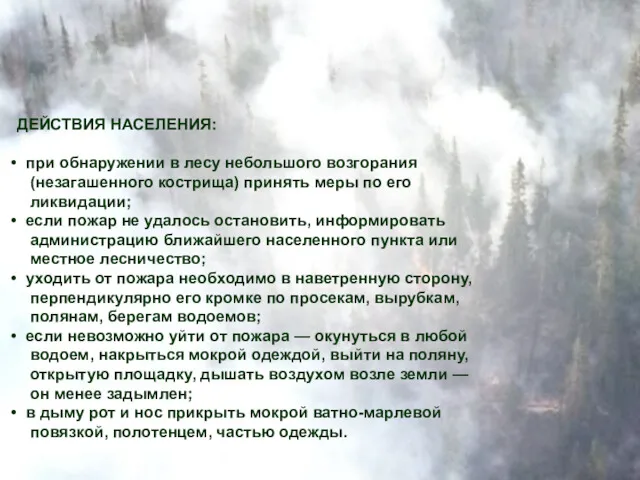 ДЕЙСТВИЯ НАСЕЛЕНИЯ: при обнаружении в лесу небольшого возгорания (незагашенного кострища)