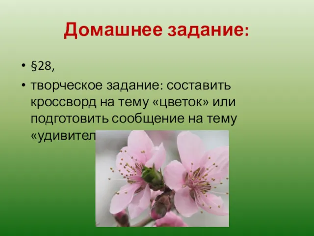 Домашнее задание: §28, творческое задание: составить кроссворд на тему «цветок» или подготовить сообщение