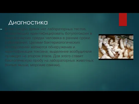 Диагностика В настоящее время нет лабораторных тестов, позволяющих идентифицировать ботулотоксин