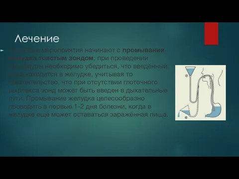 Лечение Лечебные мероприятия начинают с промывания желудка толстым зондом; при