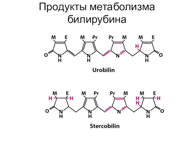 Продукты метаболизма билирубина