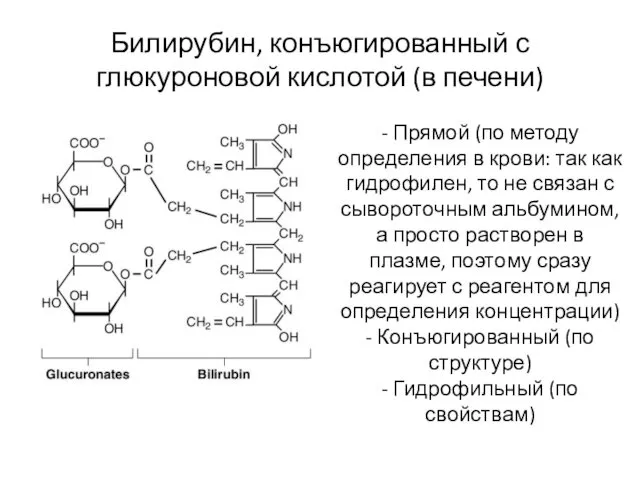 Билирубин, конъюгированный с глюкуроновой кислотой (в печени) - Прямой (по