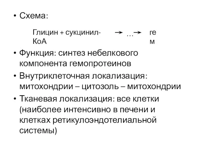 Схема: Функция: синтез небелкового компонента гемопротеинов Внутриклеточная локализация: митохондрии –