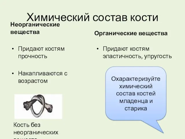 Химический состав кости Неорганические вещества Придают костям прочность Накапливаются с