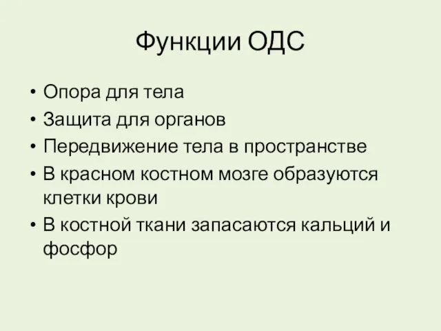 Функции ОДС Опора для тела Защита для органов Передвижение тела