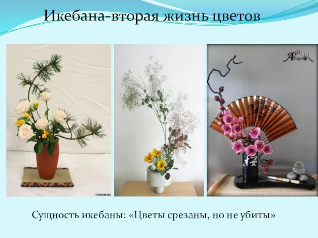 Сущность икебаны: «Цветы срезаны, но не убиты» Икебана-вторая жизнь цветов