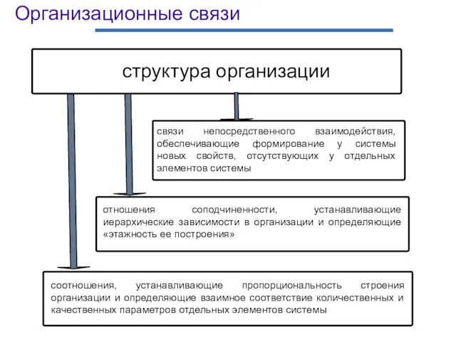 Организационные связи структура организации связи непосредственного взаимодействия, обеспечивающие формирование у