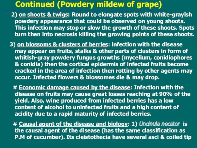 Continued (Powdery mildew of grape) 2) on shoots & twigs: