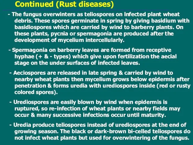Continued (Rust diseases) - The fungus overwinters as teliospores on