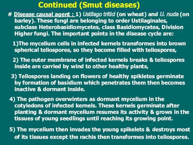 Continued (Smut diseases) # Disease causal agent : 1) Ustilago