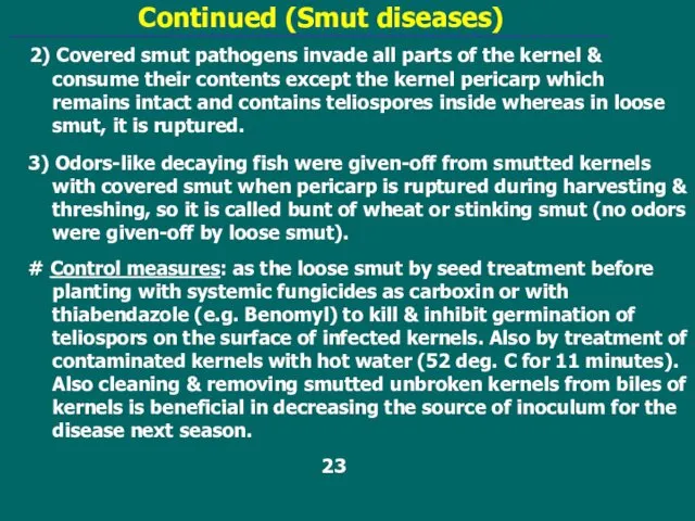 Continued (Smut diseases) 2) Covered smut pathogens invade all parts