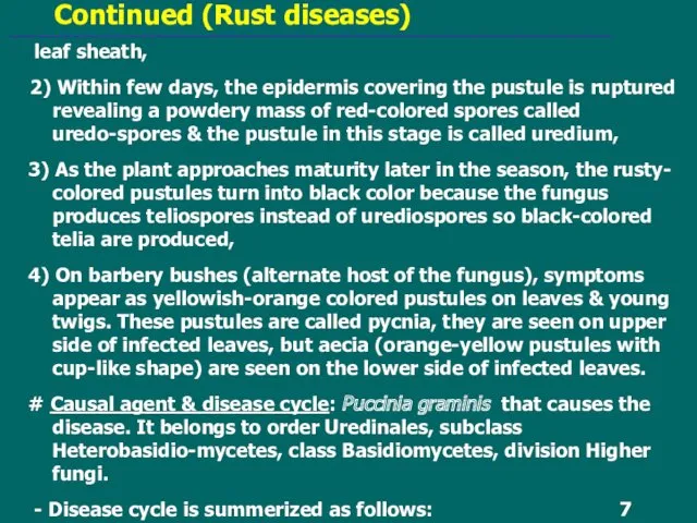 Continued (Rust diseases) leaf sheath, 2) Within few days, the