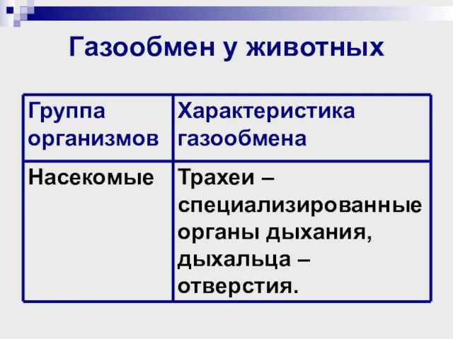 Газообмен у животных