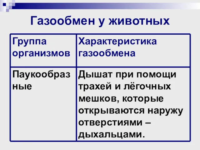 Газообмен у животных