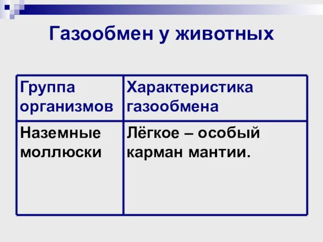 Газообмен у животных