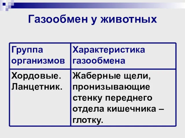 Газообмен у животных