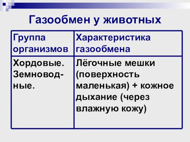 Газообмен у животных