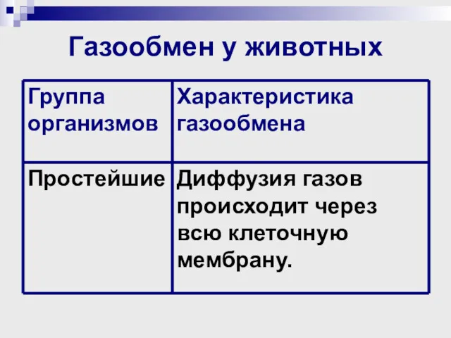 Газообмен у животных