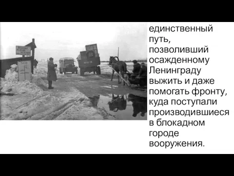 Это был единственный путь, позволивший осажденному Ленинграду выжить и даже