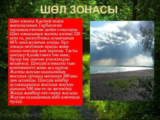 ШӨЛ ЗОНАСЫ Шөл зонасы Каспий теңізі жағалауынан Тарбағатай тауының етегіне