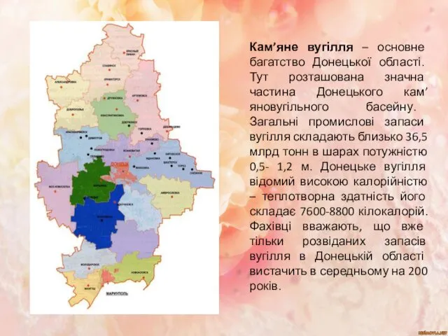 Кам’яне вугілля – основне багатство Донецької області. Тут розташована значна