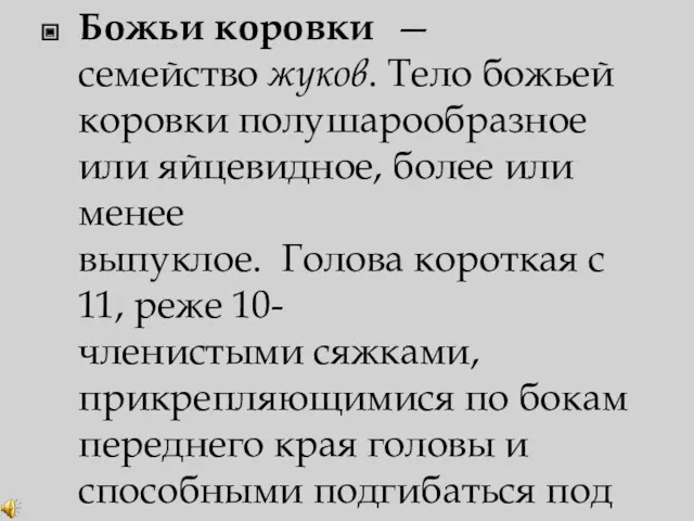 Божьи коровки — семейство жуков. Тело божьей коровки полушарообразное или