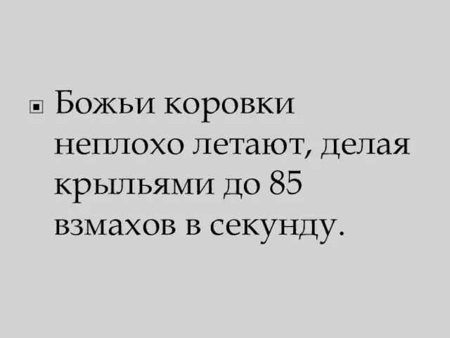 Божьи коровки неплохо летают, делая крыльями до 85 взмахов в секунду.